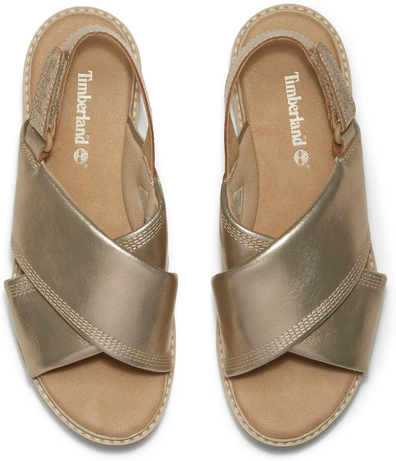 Timberland Women's Safari Dawn Backstrap Sandal